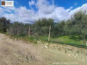 Galia Kreta, Galia Ein Olivenhain mit Persönlichkeit 3.805m² Grundstück kaufen